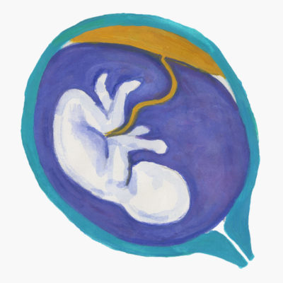 BABYOU • Schwangerschaft • Placenta normal